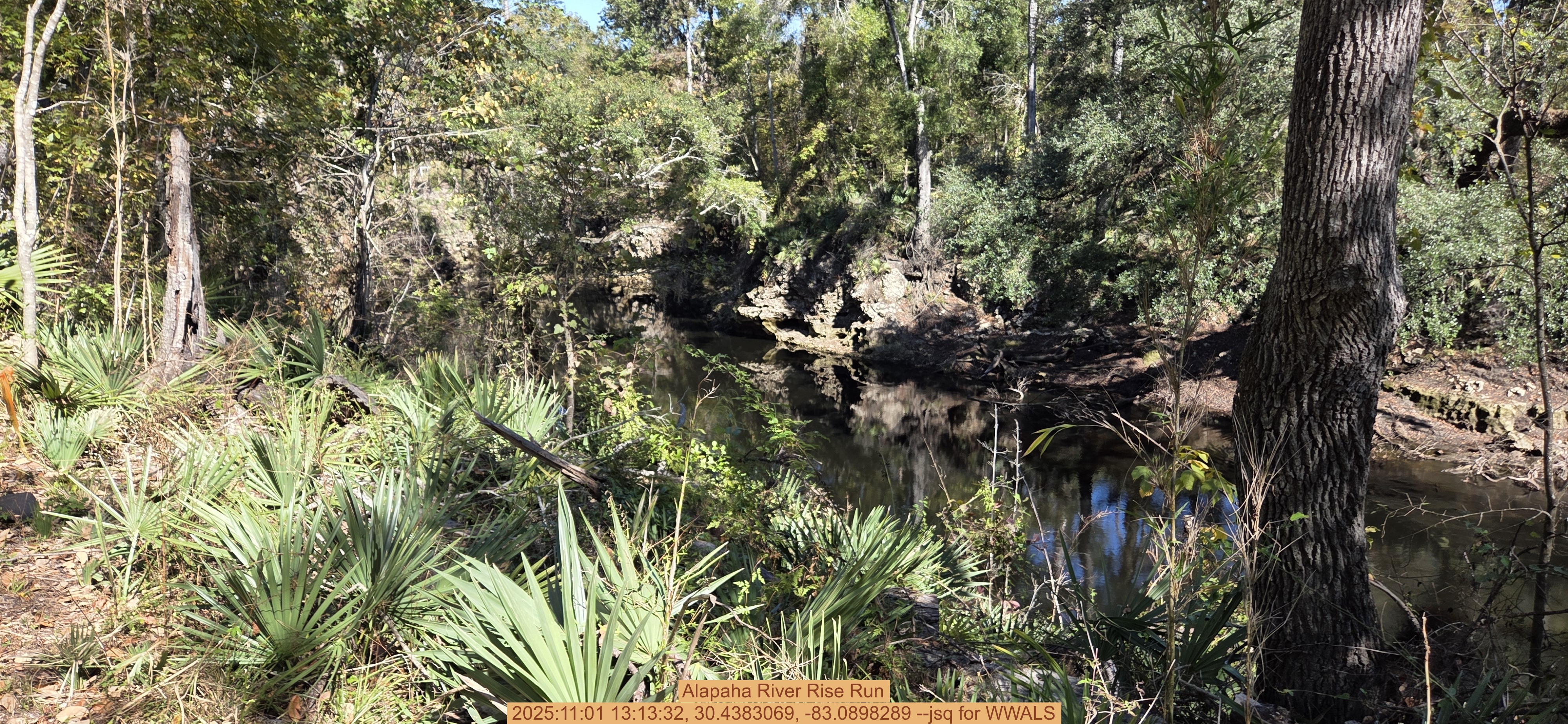 Alapaha River Rise Run, 2025:11:01 13:13:32, 30.4383069, -83.0898289 --jsq for WWALS