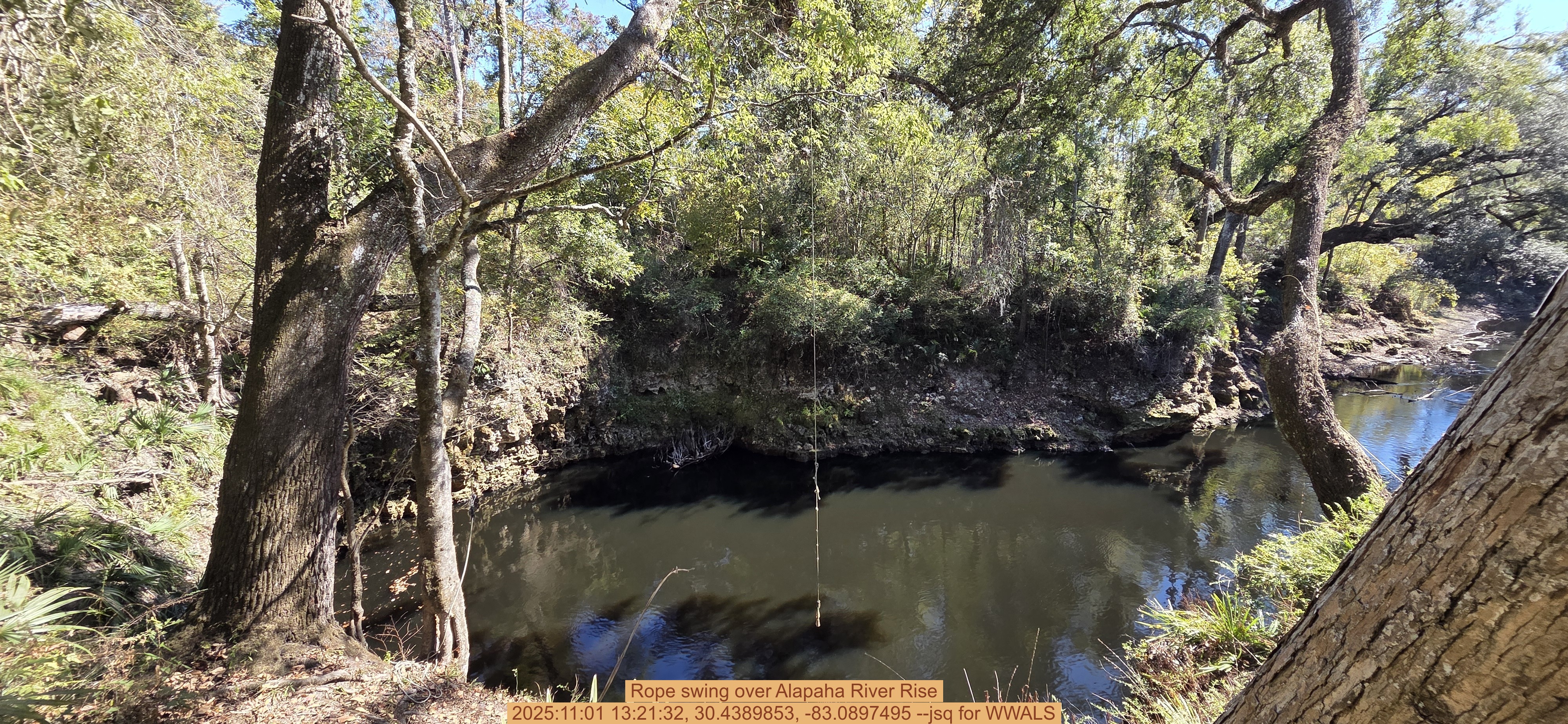 Rope swing over Alapaha River Rise, 2025:11:01 13:21:32, 30.4389853, -83.0897495 --jsq for WWALS