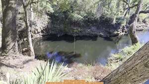 [Movie: Alapaha River Rise, 2025:11:01 13:20:07, 30.4389922, -83.0897158 (10M) --jsq for WWALS]