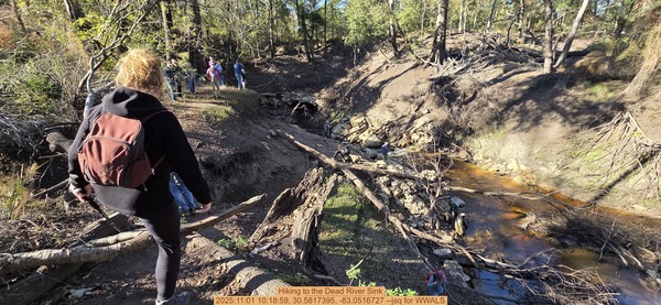 [Hiking to the Dead River Sink, 2025:11:01 10:18:59, 30.5817395, -83.0516727 --jsq for WWALS]