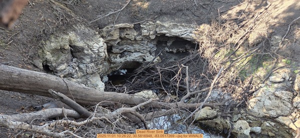 [Dead River Sink, 2025:11:01 10:26:22, 30.5816948, -83.0517269 --jsq for WWALS]