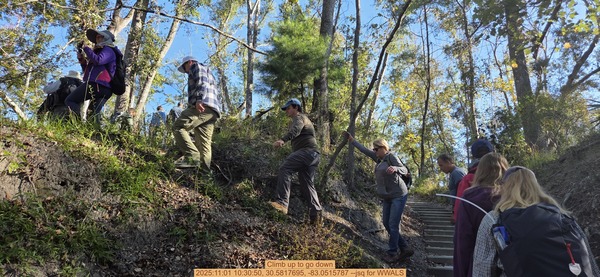 [Climb up to go down, 2025:11:01 10:30:50, 30.5817695, -83.0515787 --jsq for WWALS]