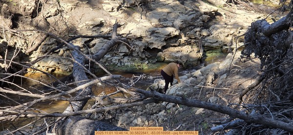 [Elizabeth Descends, 2025:11:01 10:46:14, 30.5822841, -83.0516958 --jsq for WWALS]