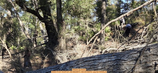 [Hikers up there, 2025:11:01 10:47:21, 30.5822811, -83.0516974 --jsq for WWALS]