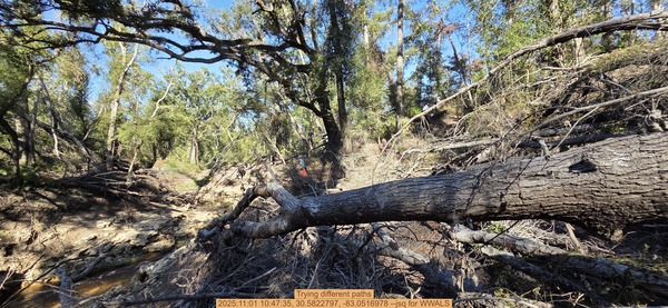 [Trying different paths, 2025:11:01 10:47:35, 30.5822797, -83.0516978 --jsq for WWALS]