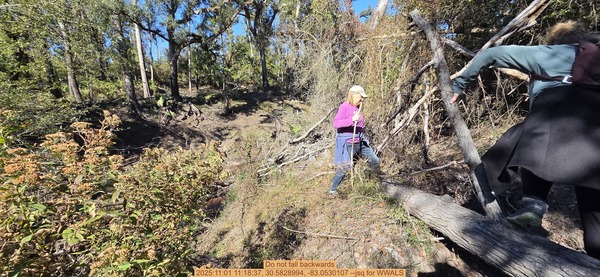 [Do not fall backwards, 2025:11:01 11:18:37, 30.5828994, -83.0530107 --jsq for WWALS]