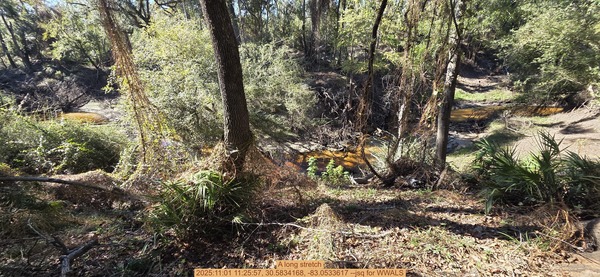 [A long stretch, 2025:11:01 11:25:57, 30.5834168, -83.0533617 --jsq for WWALS]