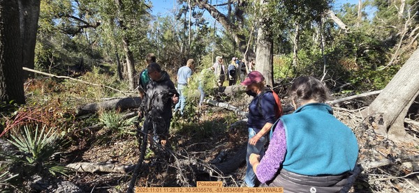 [Pokeberry, 2025:11:01 11:28:12, 30.5835576, -83.0534569 --jsq for WWALS]