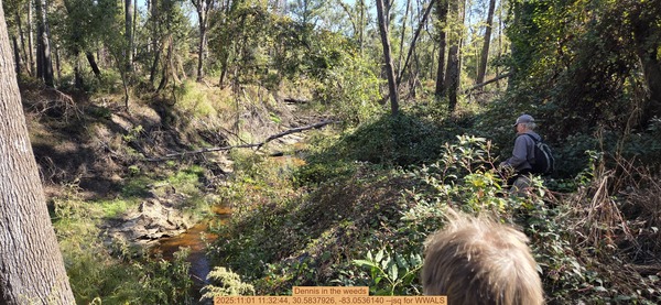 [Dennis in the weeds, 2025:11:01 11:32:44, 30.5837926, -83.0536140 --jsq for WWALS]