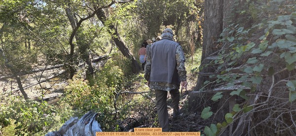 [A rare clear path, 2025:11:01 11:48:31, 30.5838884, -83.0526727 --jsq for WWALS]