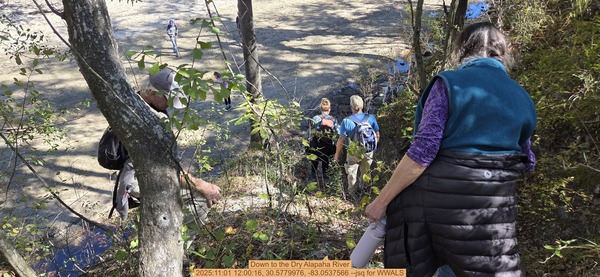 [Down to the Dry Alapaha River, 2025:11:01 12:00:16, 30.5779976, -83.0537566 --jsq for WWALS]