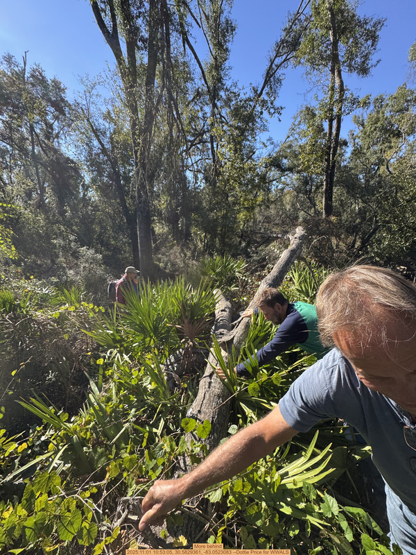 [More behind, 2025:11:01 10:53:05, 30.5829361, -83.0523083 --Dottie Price for WWALS]