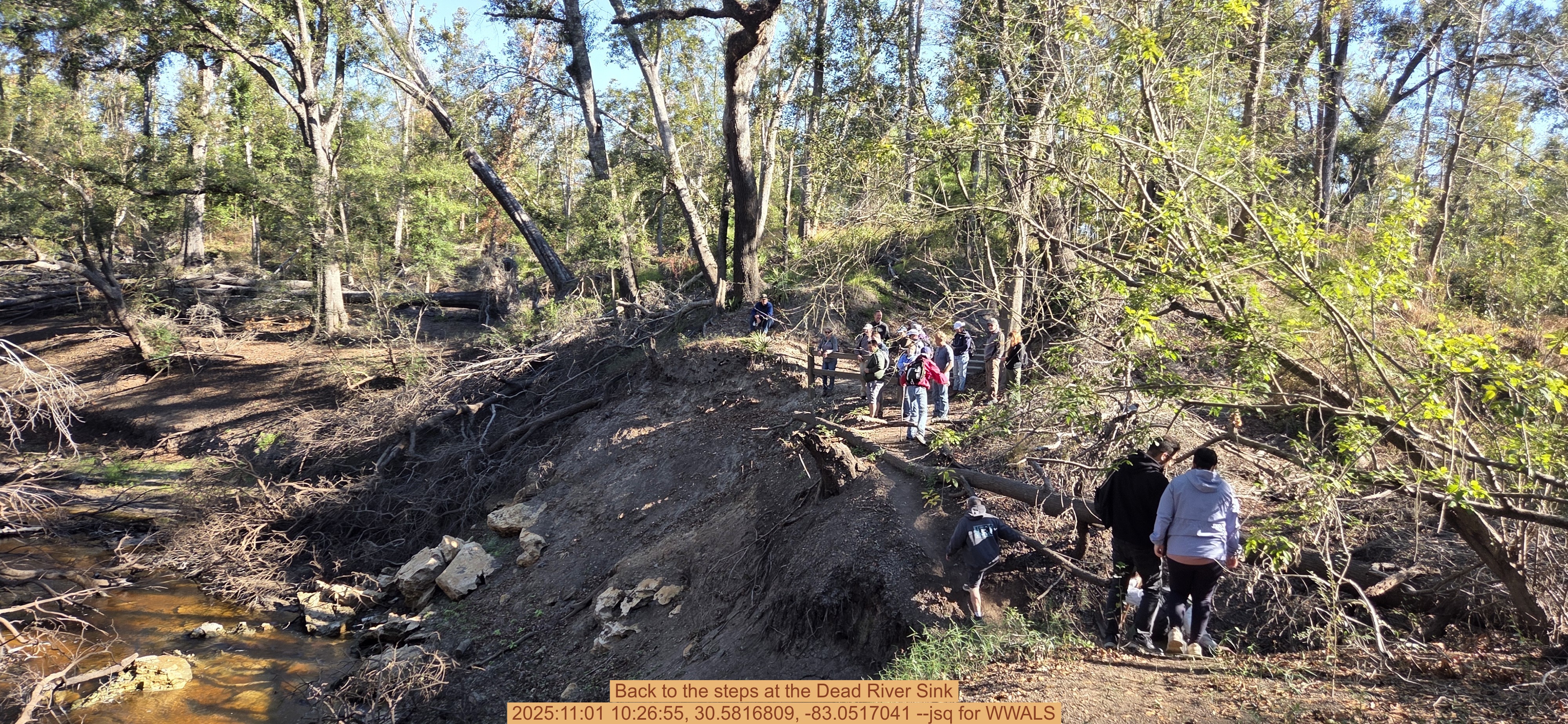 Back to the steps at the Dead River Sink, 2025:11:01 10:26:55, 30.5816809, -83.0517041 --jsq for WWALS