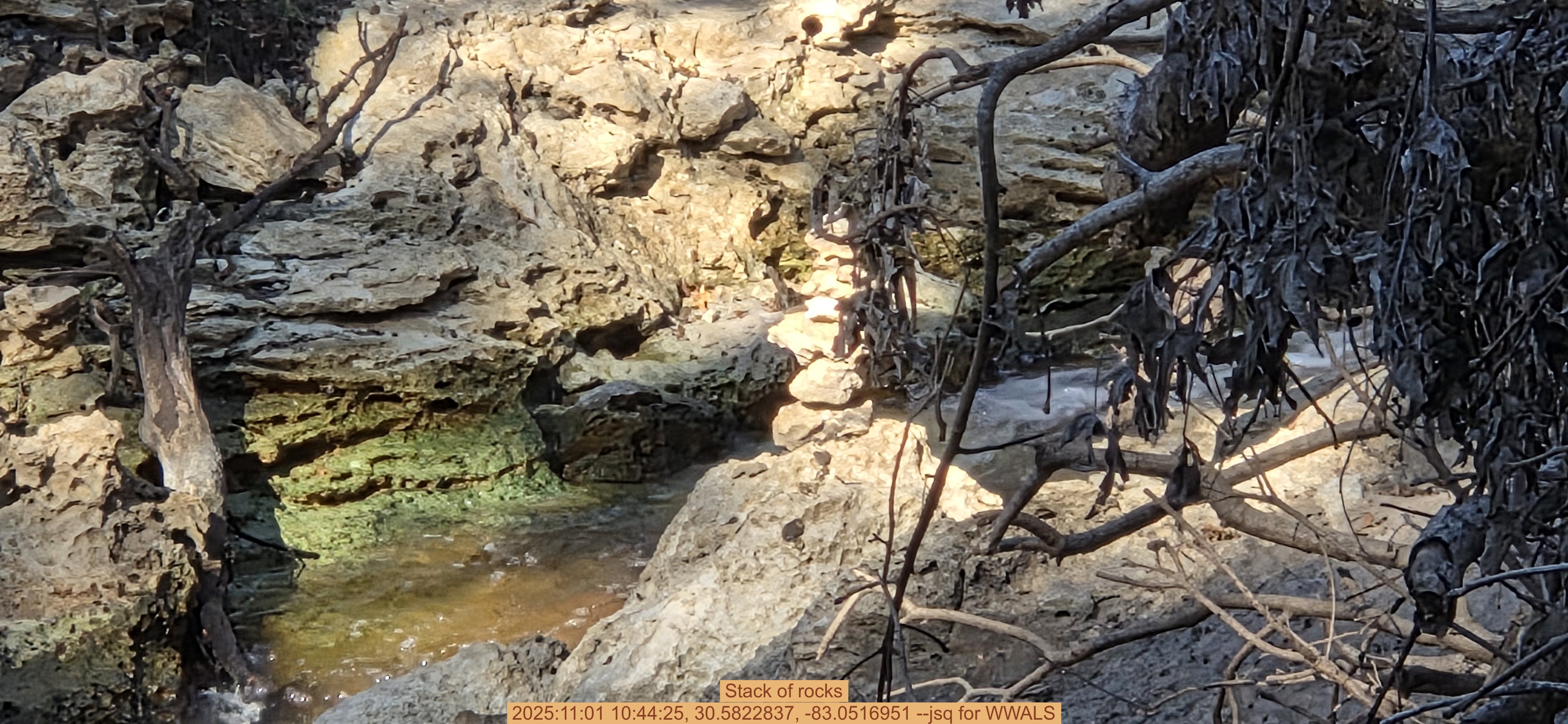 Stack of rocks, 2025:11:01 10:44:25, 30.5822837, -83.0516951 --jsq for WWALS
