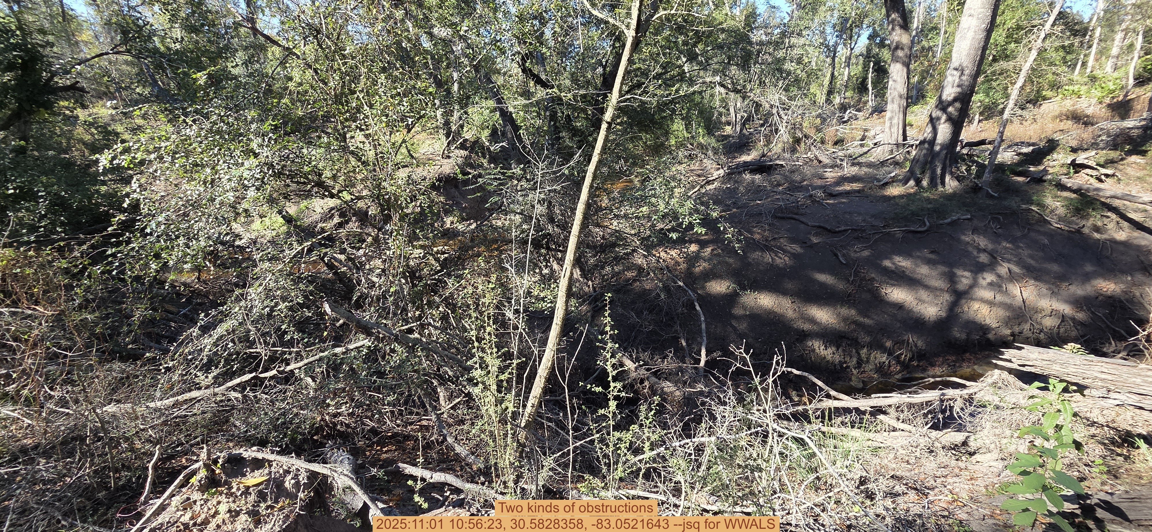 Two kinds of obstructions, 2025:11:01 10:56:23, 30.5828358, -83.0521643 --jsq for WWALS