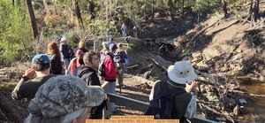 [Down to the Dead River Sink, 2025:11:01 10:17:43, 30.5819761, -83.0512510 --jsq for WWALS]