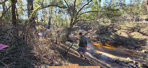 [Handhold, 2025:11:01 10:39:49, 30.5822747, -83.0516846 --jsq for WWALS]