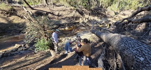 [Elizabeth is tempted to descend, 2025:11:01 10:40:53, 30.5822767, -83.0516904 --jsq for WWALS]