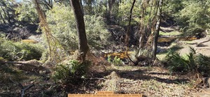 [A long stretch, 2025:11:01 11:25:57, 30.5834168, -83.0533617 --jsq for WWALS]