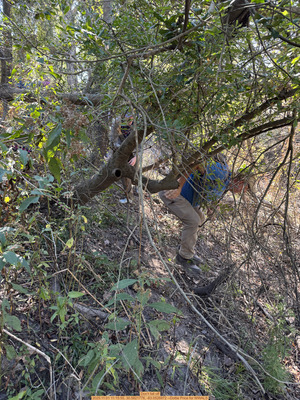 [Don't fall off, 2025:11:01 11:15:55, 30.5821778, -83.0526972 --Dottie Price for WWALS]