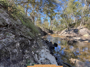 [Looking up the Dead River from the Alapaha, 2025:11:01 12:11:05, 30.5710250, -83.0477444 --Dottie Price for WWALS]