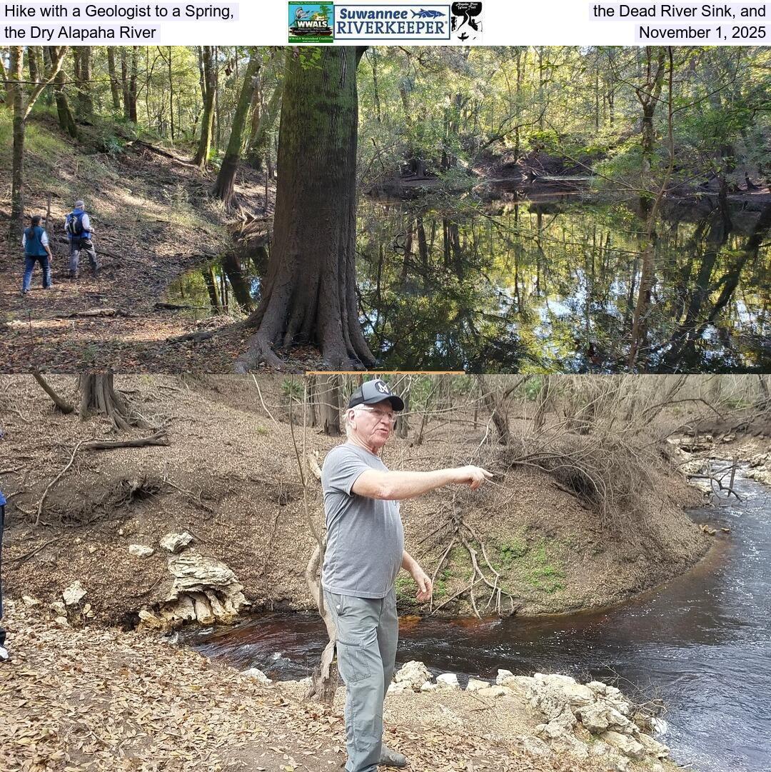 Hike with a Geologist to a Spring, the Dead River Sink, and the Dry Alapaha River, November 1, 2025