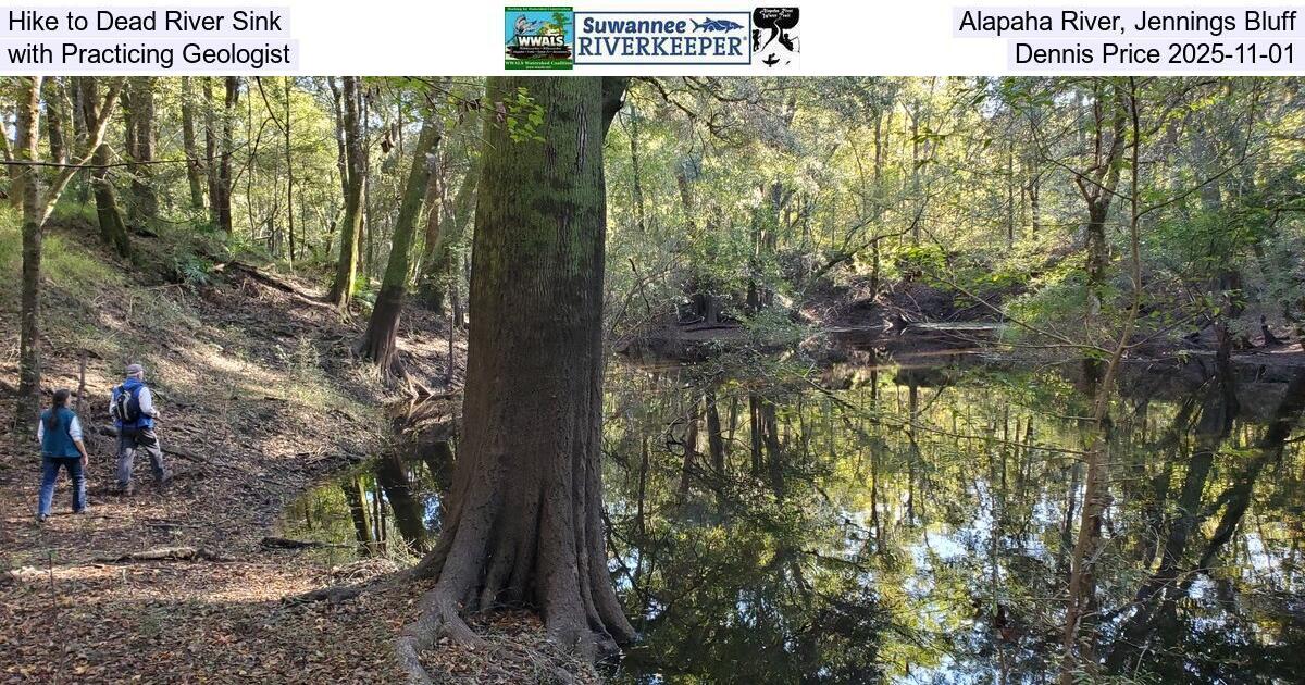 [Hike to Dead River Sink, Alapaha River, Jennings Bluff, with Practicing Geologist Dennis Price 2025-11-01]