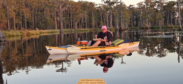 Julie Bowland noticing, 2025-11-05 --jsq for WWALS