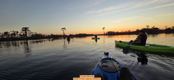 [To the bat tree, 2025-11-05 --jsq for WWALS]