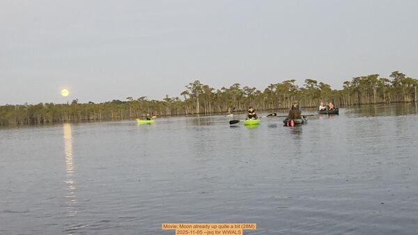 Movie: Moon already up quite a bit (28M), 2025-11-05 --jsq for WWALS