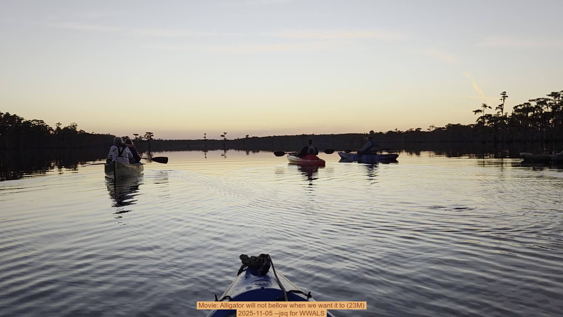 Movie: Alligator will not bellow when we want it to (23M), 2025-11-05 --jsq for WWALS