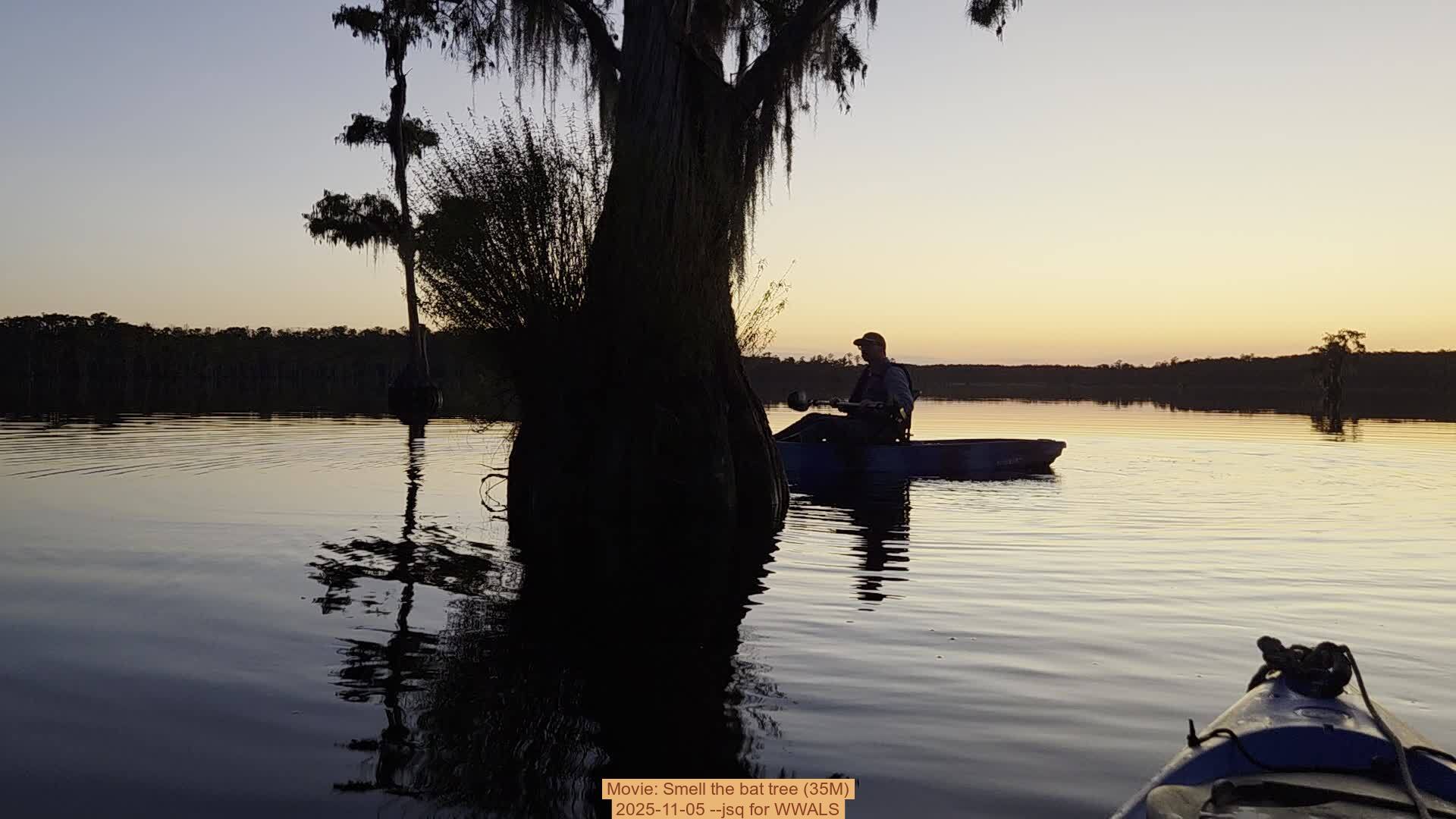 Movie: Smell the bat tree (35M), 2025-11-05 --jsq for WWALS