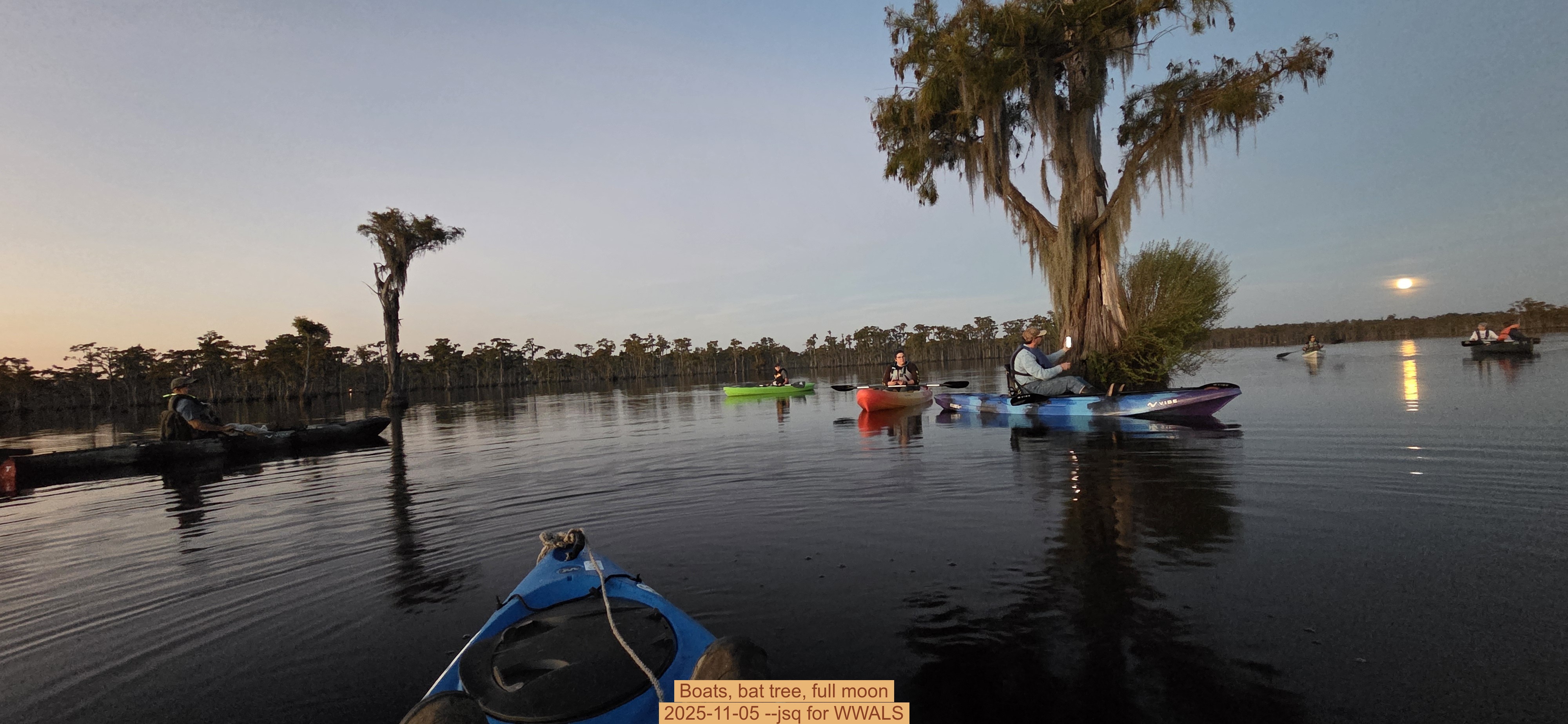 Boats, bat tree, full moon, 2025-11-05 --jsq for WWALS