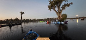 [Boats, bat tree, full moon, 2025-11-05 --jsq for WWALS]