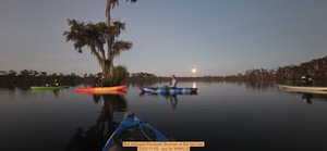 [Bat biologist Elizabeth Brunner at the bat tree, 2025-11-05 --jsq for WWALS]