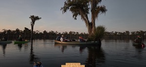 [Canoe at bat tree, 2025-11-05 --jsq for WWALS]