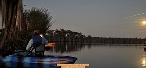 [Chris Turtleman Adams, bats, full moon, 2025-11-05 --jsq for WWALS]