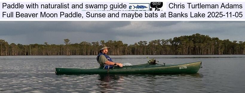 Paddle with naturalist and swamp guide Chris Turtleman Adams, Full Beaver Moon Paddle, Sunset, and maybe bats at Banks Lake 2025-11-05