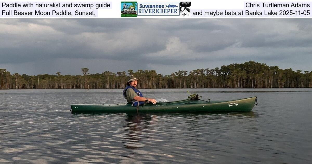 [Paddle with naturalist and swamp guide Chris Turtleman Adams, Full Beaver Moon Paddle, Sunset, and maybe bats at Banks Lake 2025-11-05]
