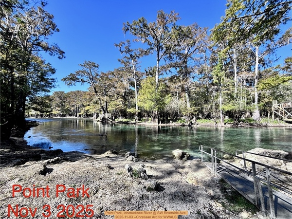 [Point Park, Ichetucknee River @ SW Riverside Ave. 2025-11-03 --Chrstiaan Ard for WWALS]