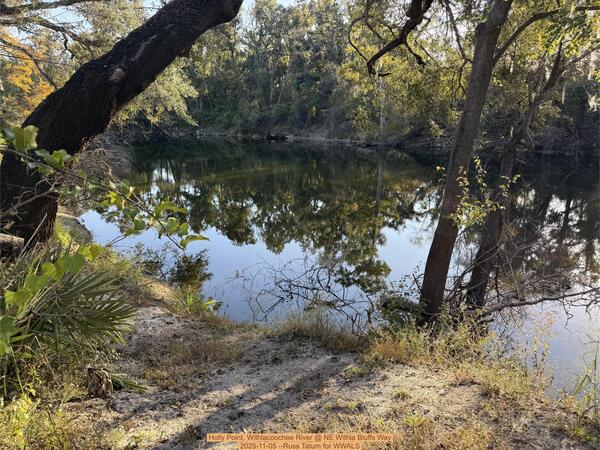 [Holly Point, Withlacoochee River @ NE Withla Bluffs Way 2025-11-05 --Russ Tatum for WWALS]