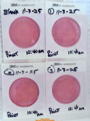 [Plates, Point Park 2025-11-03 --Chrstiaan Ard for WWALS]