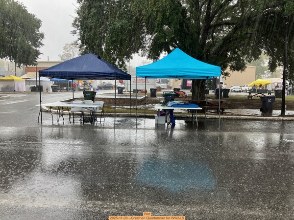 [Wet, 2025-11-08 --Gretchen Quarterman for WWALS]