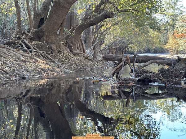 [Way through, 2025-11-12 --Shirley Kokidko for WWALS]