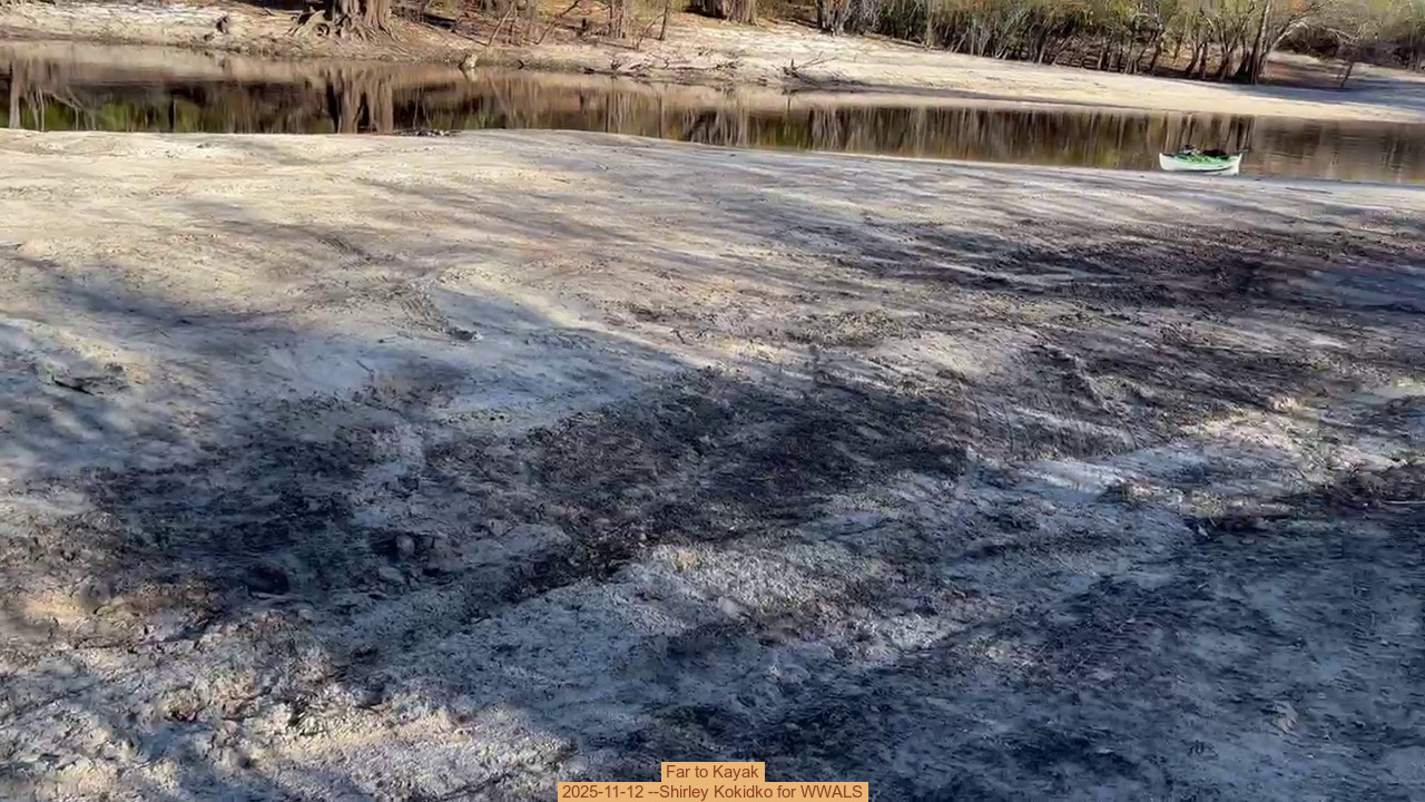 Far to Kayak, 2025-11-12 --Shirley Kokidko for WWALS