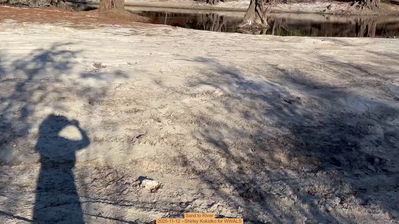 Sand to River, 2025-11-12 --Shirley Kokidko for WWALS