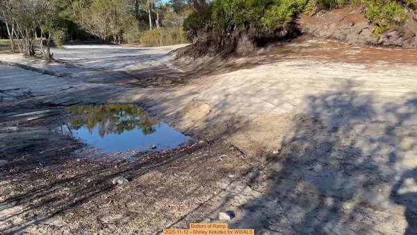 [Bottom of Ramp, 2025-11-12 --Shirley Kokidko for WWALS]