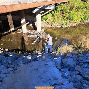 [Sample, Sugar Creek @ Gornto Road 2025-11-12 --Suzy Hall for WWALS]