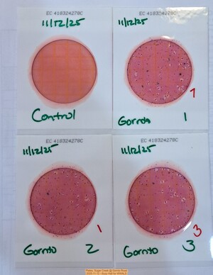 [Plates, Sugar Creek @ Gornto Road 2025-11-12 --Suzy Hall for WWALS]