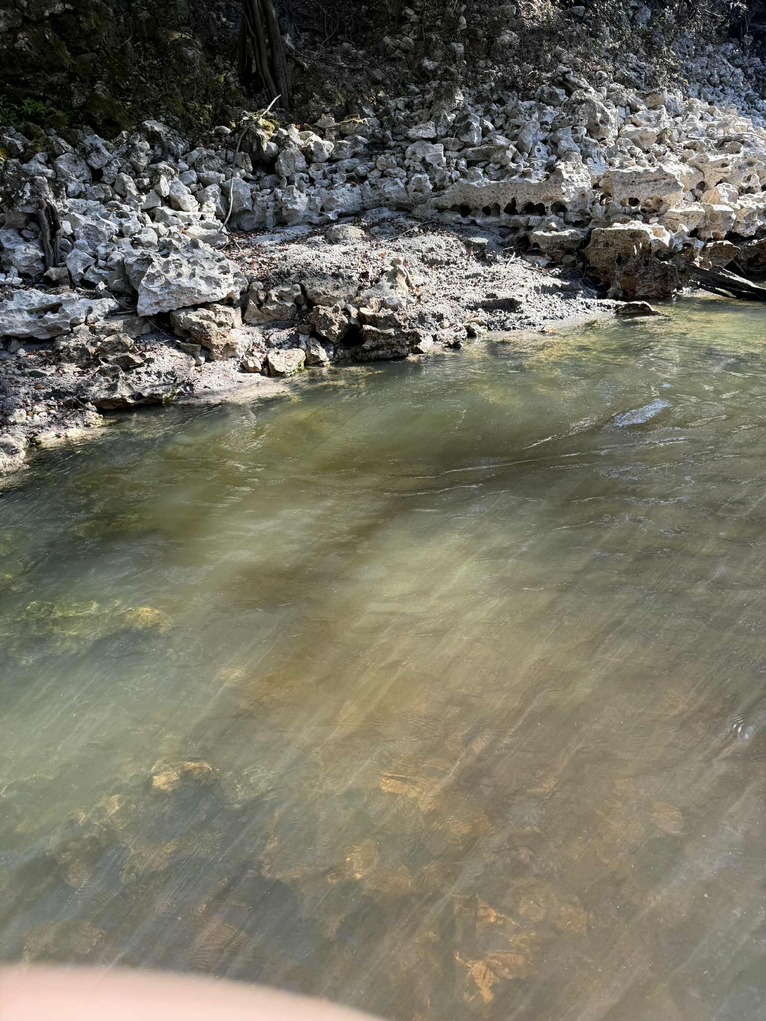 Finding new springs at low water, 2025-11-15 --Byron Herder